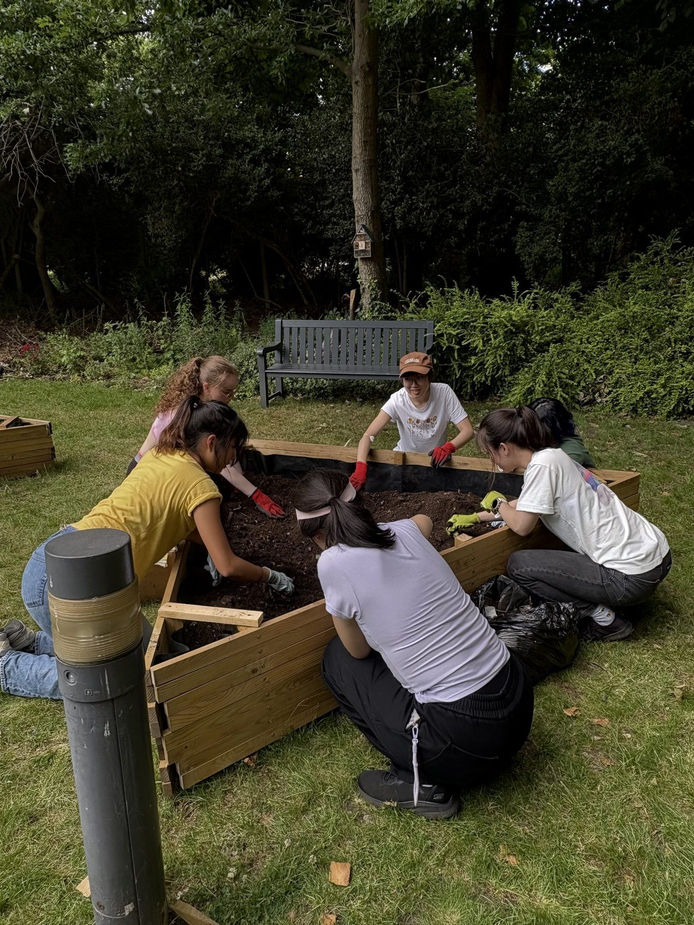 Modular triangular raised beds
