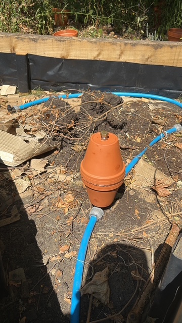 Bespoke olla pot irrigation system installed in a raised bed