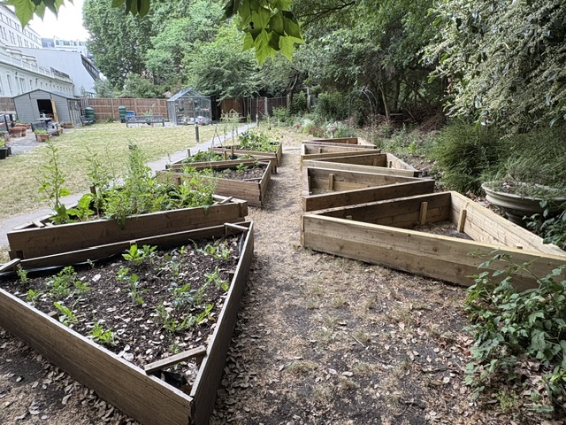 Modular triangular raised beds forming a garden path